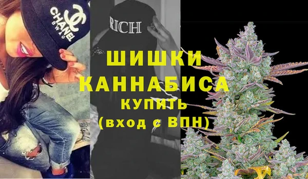2c-b Новозыбков