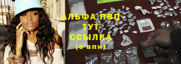 Альфа ПВП Дубна